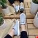 کفش اسپرت زنانه و دختران مدل روی بافت اسکیچرز